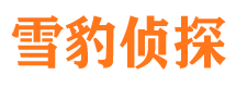 衢江侦探公司